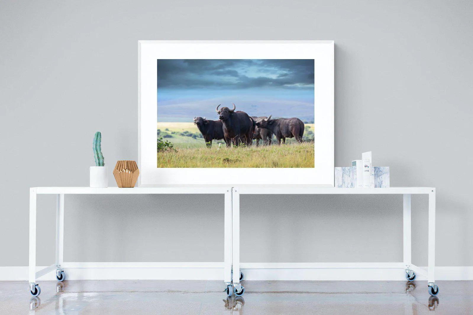 Buffalo